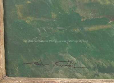  / Když se zvedají mlhy / Jan Bohumil Pospíšil