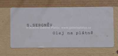  / Ledaři / S. Sergněv