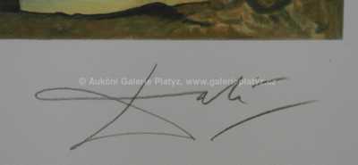  / Labutě / Salvador Dalí