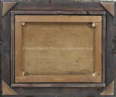  / Alpská krajina / Louisa  Piepenhagen