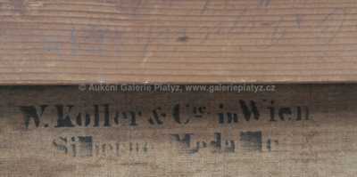  / Alpská krajina / Louisa  Piepenhagen