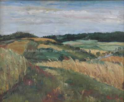  / Před sklizní / Svatopluk Havrlík