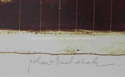  / Eterna / Vladimír Suchánek