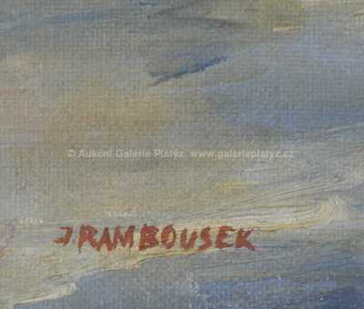  / Železná lávka / Jan Rambousek