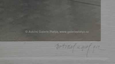  / Dáma s květinou / František Drtikol