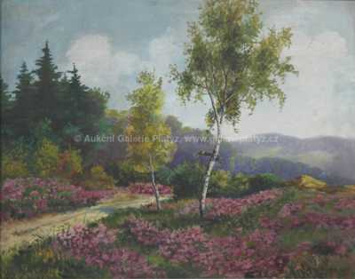  / Vřesoviště / František Daněk - Sedláček