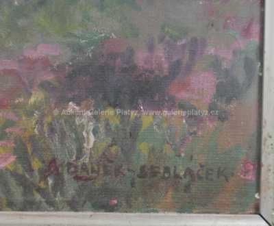  / Vřesoviště / František Daněk - Sedláček