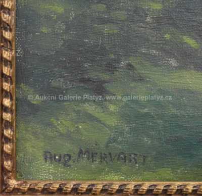  / Ve stínu / Augustin Mervart