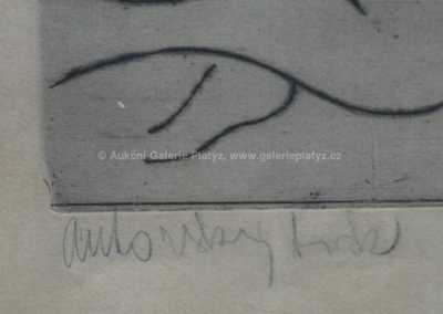  / Bitka / Ivan Strnad