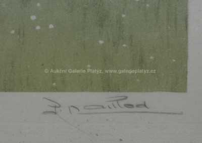  / Chytání motýlů /   Autor neurčen