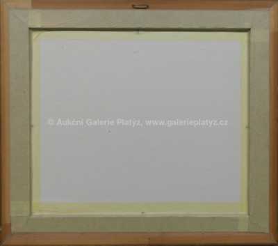  / Dáma s kloboukem / Josef Liesler