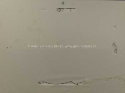  / Člověk a zvíře / Vincent Hložník