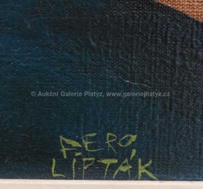  / Odborný pohled / František Lipták