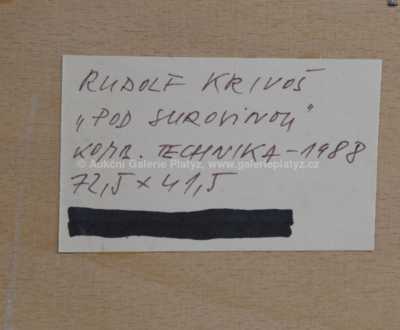  / Pod surovinou / Rudolf Krivoš