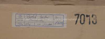  / Slunečnice / Václav  Pavlík