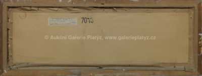  / Slunečnice / Václav  Pavlík