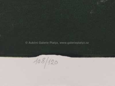  / Oko / Josef Liesler