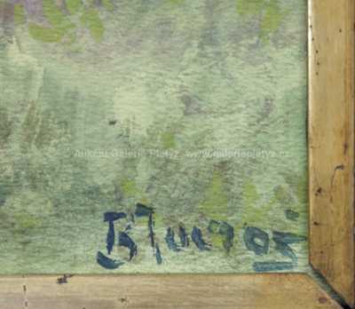  / Rozkvetlý sad / Bohumil Jaroš