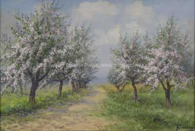  / Rozkvetlý sad / Bohumil Jaroš