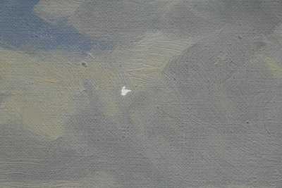  / Rozkvetlá mez / Jaroslav Panuška