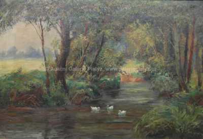  / Kachny na potoce / J. Svoboda