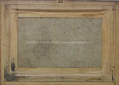  / Kachny na potoce / J. Svoboda