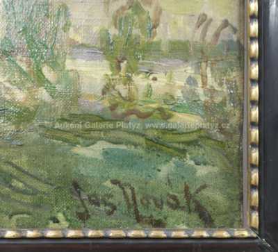  / Pod Pražským hradem / Josef  Novák