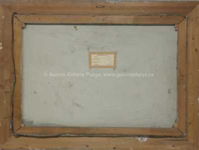  / Jaro ve Stromovce / Karel Hodr