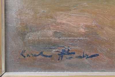  / Kytice měsíčků / Karel Hodr