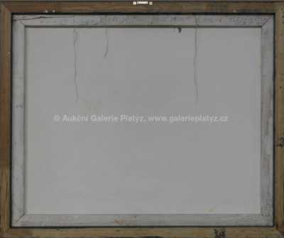  / Malé pivo / Roman Brichcín