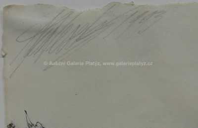  / Na kopci / Aleš Veselý