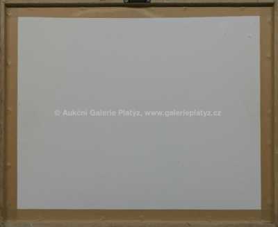  / Nástroj / Aleš Veselý