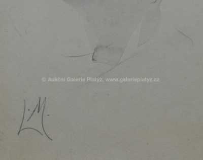  / Při rozhovoru / Luděk Marold