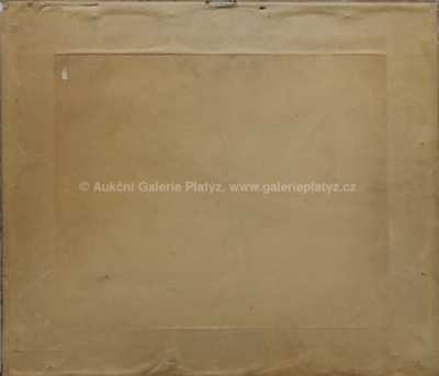  / Kamenitý břeh / Václav Jansa