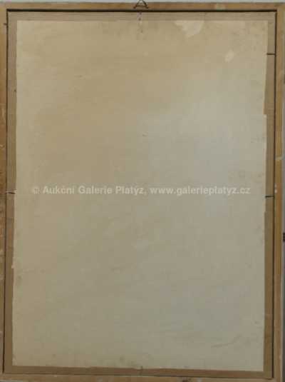  / Noční chodec / František  Hudeček