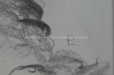  / Děvče s věnečkem / Linka Scheithauerová-Procházková