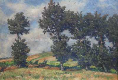  / Od Mladé Vožice / Ota Bubeníček