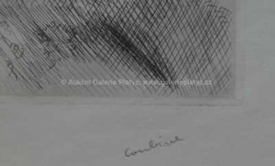  / Z Francie / Othon Coubine