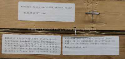  / Marnotratný syn / Alois Moravec