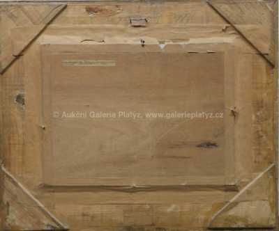  / Z Českomoravské vysočiny / Ota Bubeníček