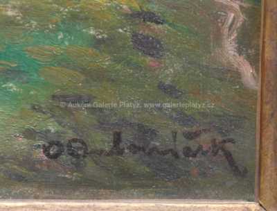  / Z Českomoravské vysočiny / Ota Bubeníček