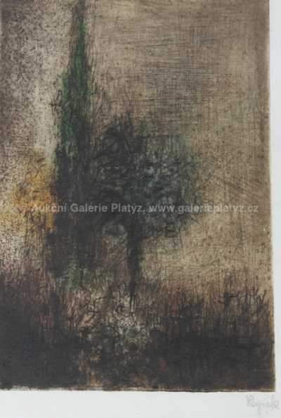  / Stromy / Bohuslav Reynek