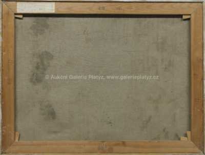  / V krajině / Jiří Procházka