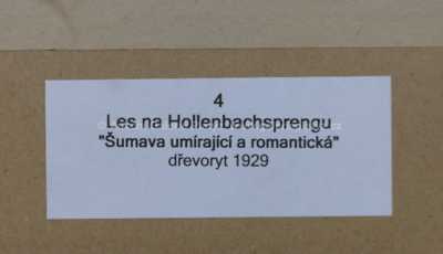  / Les / Josef Váchal