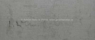  / Průhled nad řekou / Imro Weiner - Kráľ