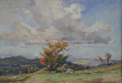  / Podzimní keř / František Cína - Jelínek