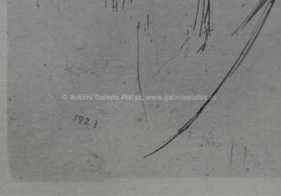  / Fontána / František Kupka