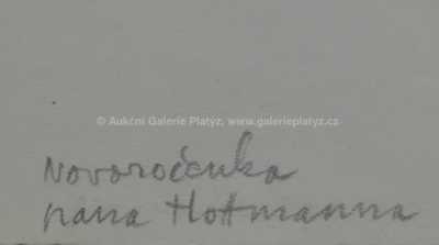  / Novoročenka / František  Tichý