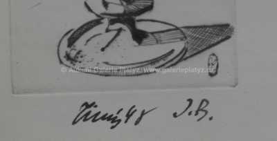  / Novoročenka / František  Tichý