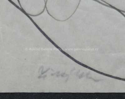  / Ležící / František  Tichý